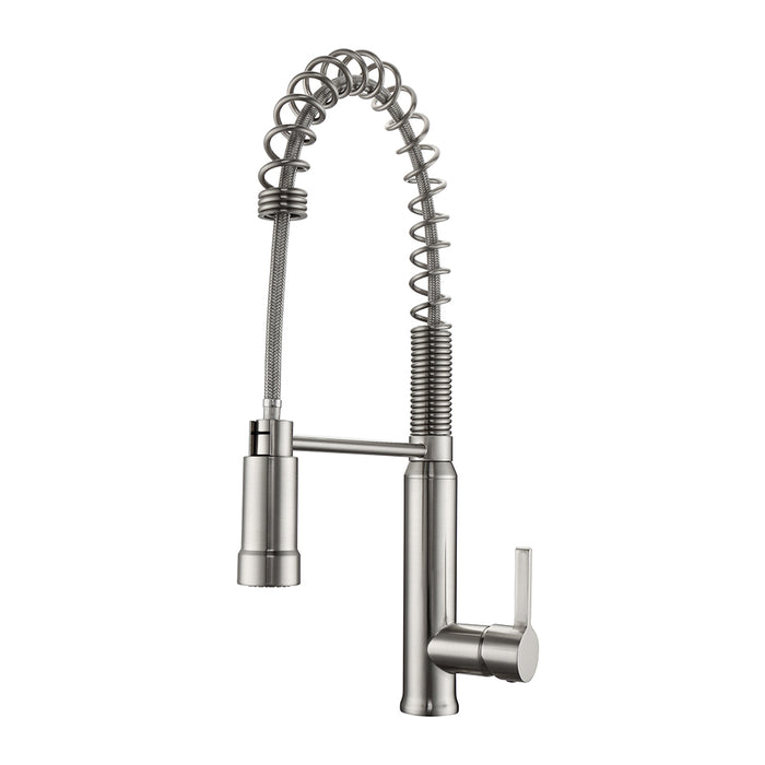 Shallot Spring Kitchen Faucet with Single Handle 1
