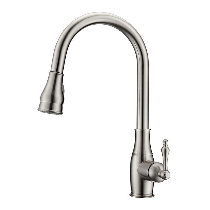 Caryl Single Handle Kitchen Faucet with Single Handle 1